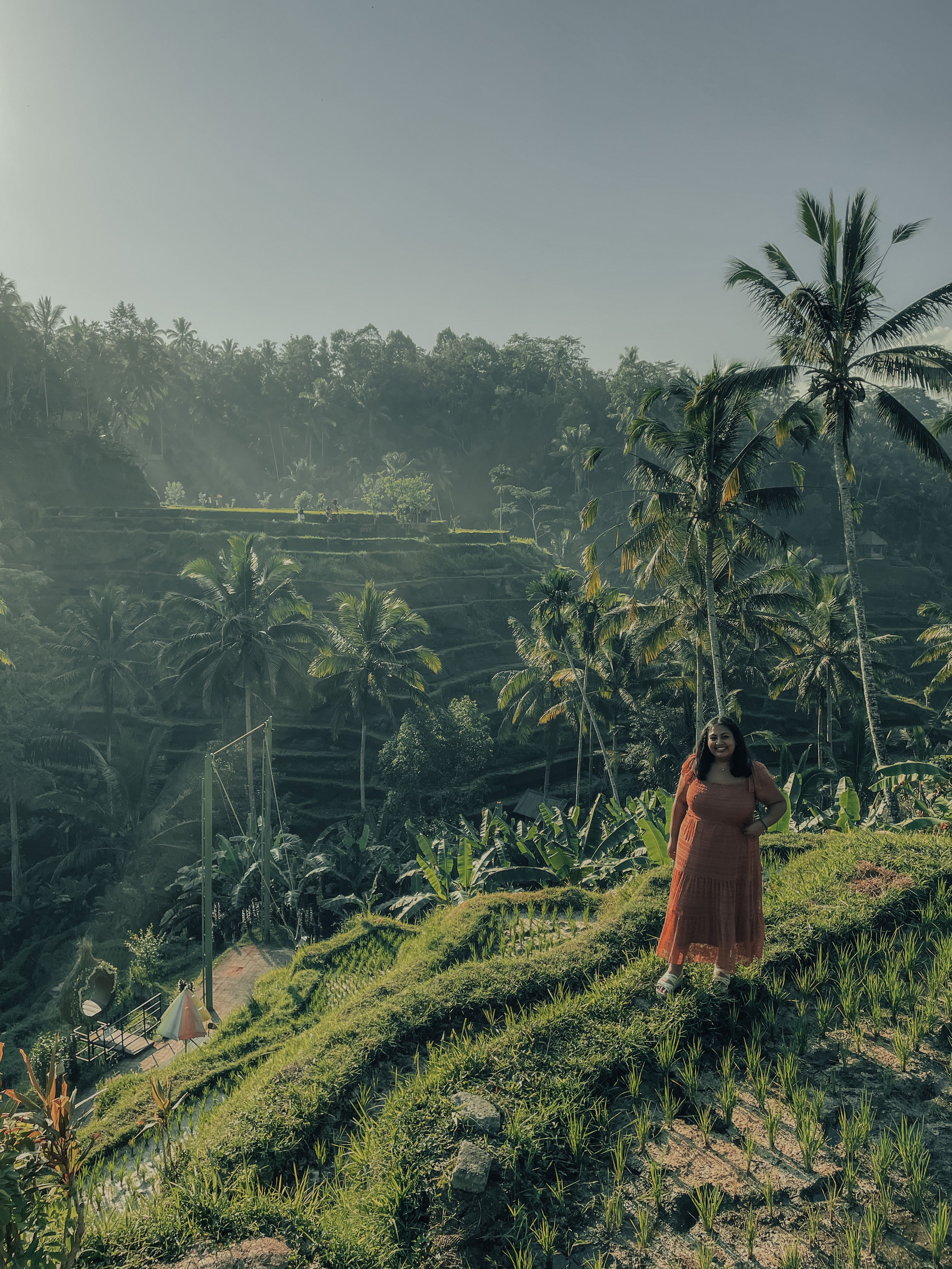 Lush green Tegalalang Rice Terraces in Ubud